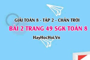 Bài 2 trang 49 Toán 8 Tập 2 Chân trời sáng tạo